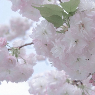 原创兽设世界观设计思路福瑞交流群